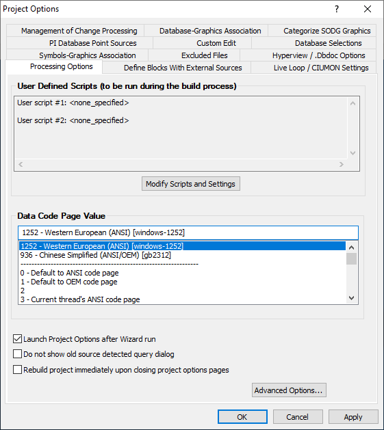 Project options processing options.png